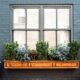 The Different Types of Replacement Windows