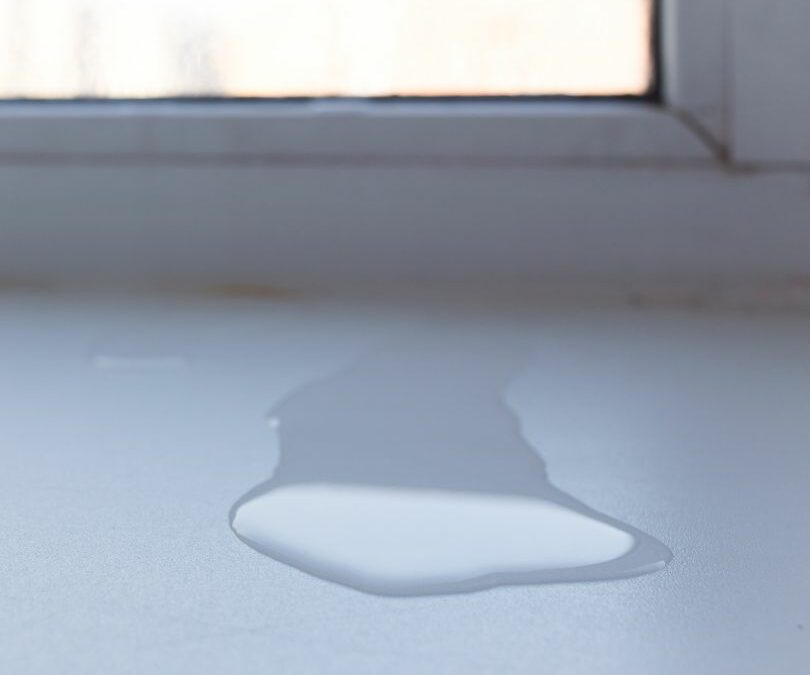 Should You Repair or Replace Leaky Windows?