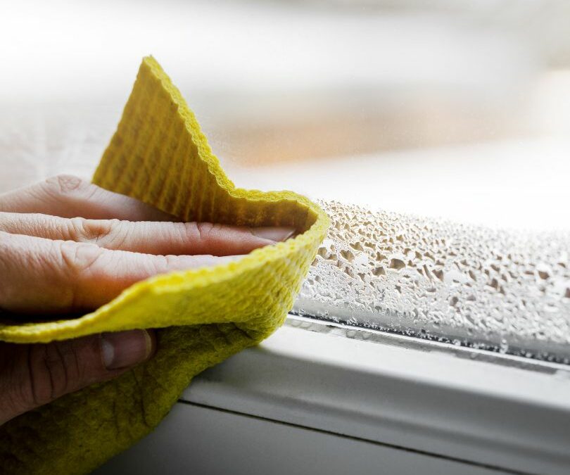 Window Condensation: What’s Normal and What Isn’t?
