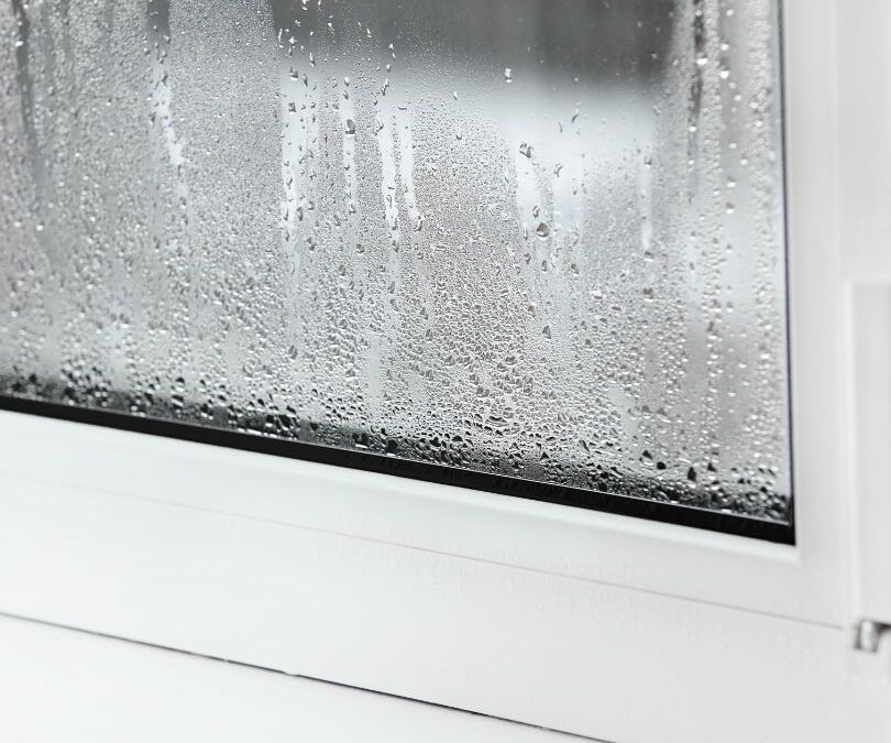 3 Most Common Signs of Window Seal Failure