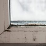 Black Mold on Your Windows? Common Causes and Prevention