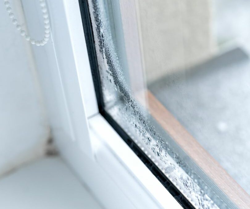 Weatherproofing Windows: Expert Tips for Year-Round Comfort