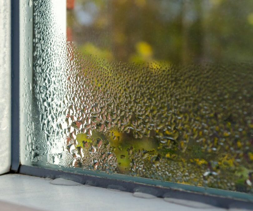 Is Moisture Buildup on Your Windows a Problem?