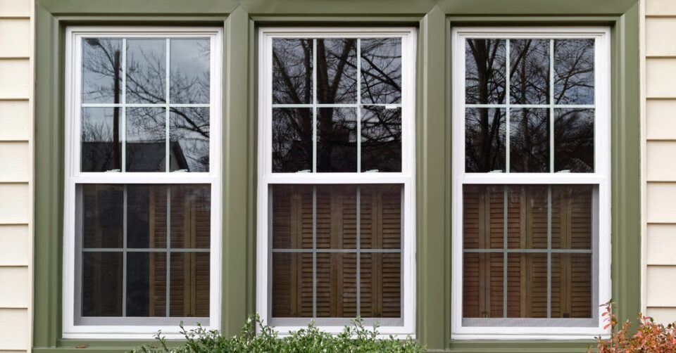 Three double-hung windows with green trim on a beige home, reflecting trees and the sky, with bushes below.
