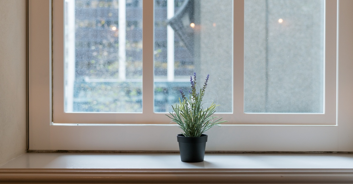 The interior of a window with a a white frame and sill. A small potted plant is sitting on the windowsill.