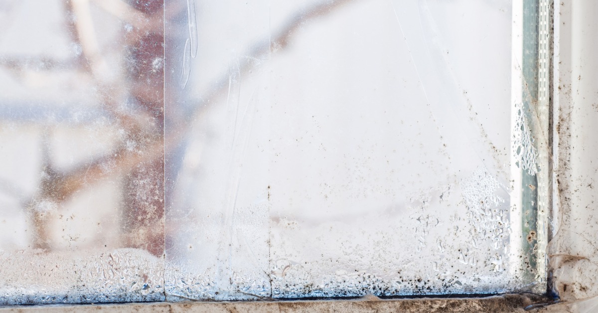 A close-up of a window with condensation and mold and mildew starting to grow along the inside edge of the white trim.