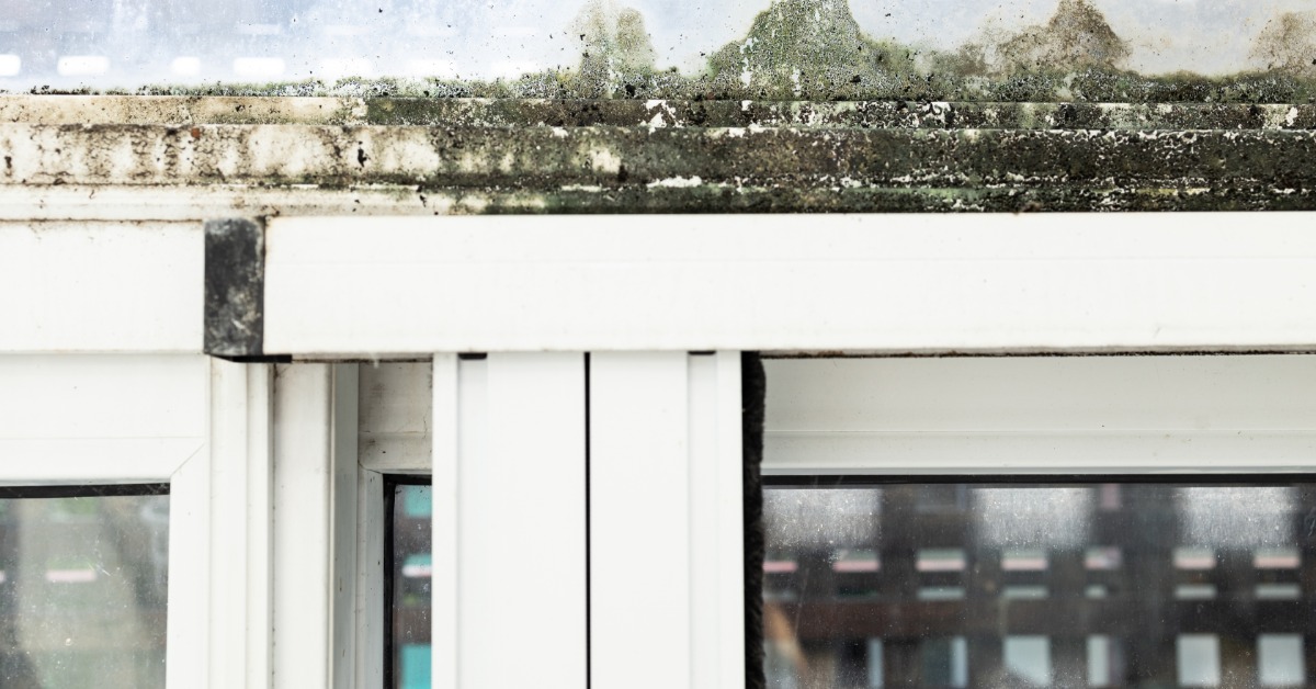 an old aluminum sliding window with corrosion stains, algae buildup, and water damage on the frame.