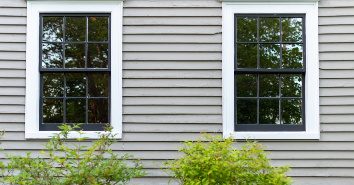 Two white-trimmed double-hung windows set in tan clapboard siding with green bushes growing below them.