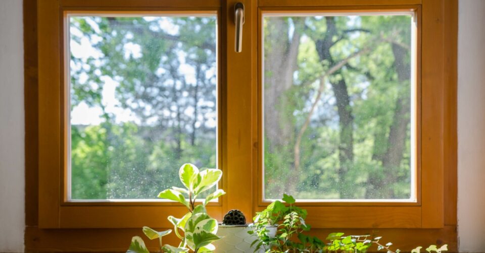 Several green potted plants sitting on a wooden windowsill beneath a closed wooden window overlooking leafy trees.