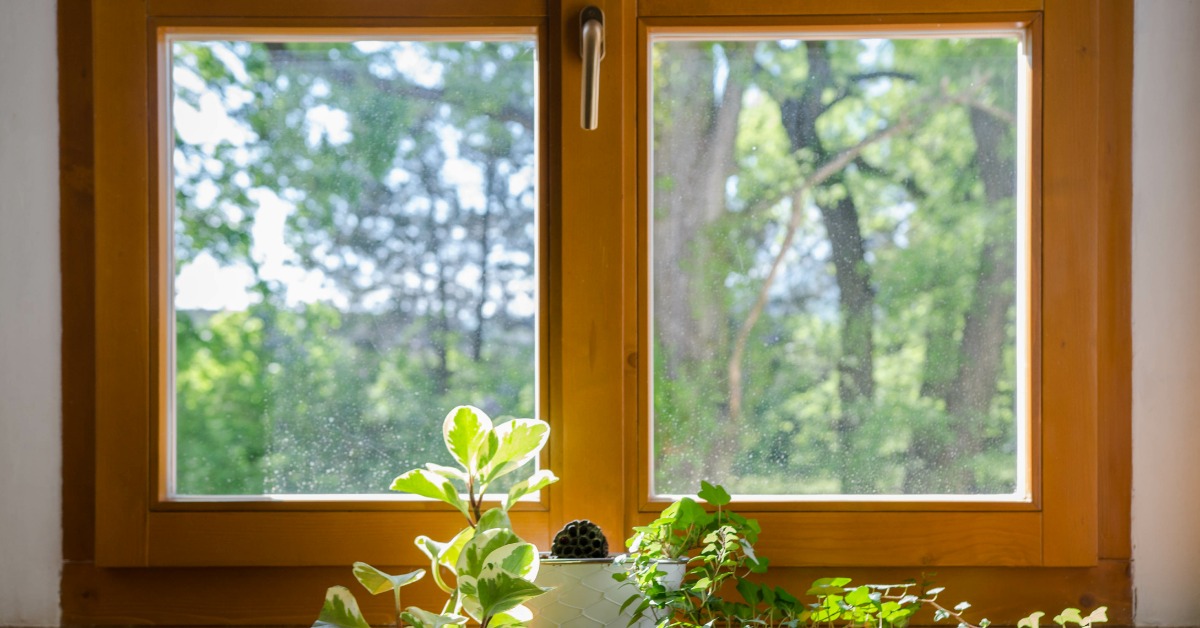 Several green potted plants sitting on a wooden windowsill beneath a closed wooden window overlooking leafy trees.